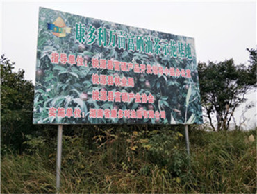 湖南省康多利油脂有限公司,油茶种植出产加工销售,植物油种植出产加工销售